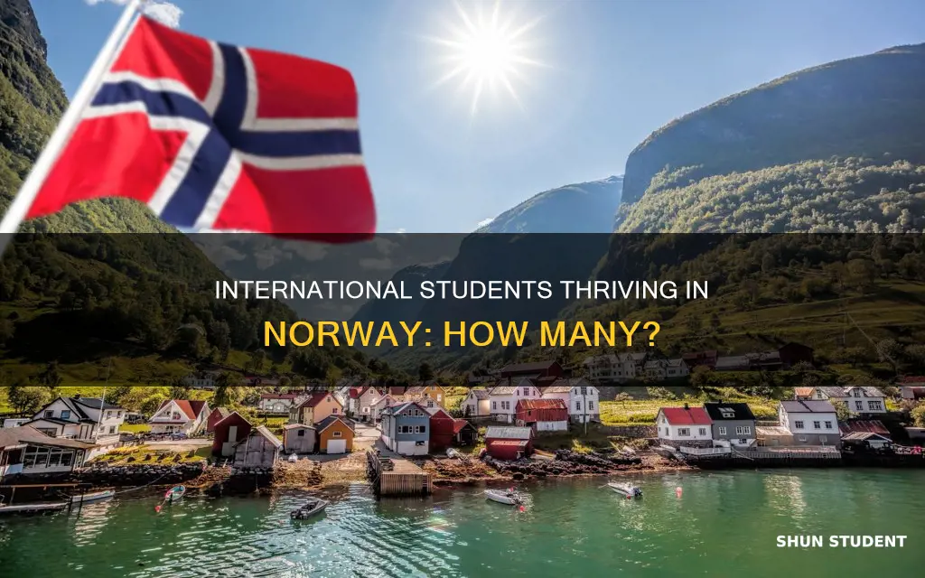 how many international students in norway