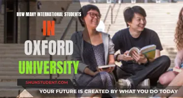 International Students Thriving at Oxford University