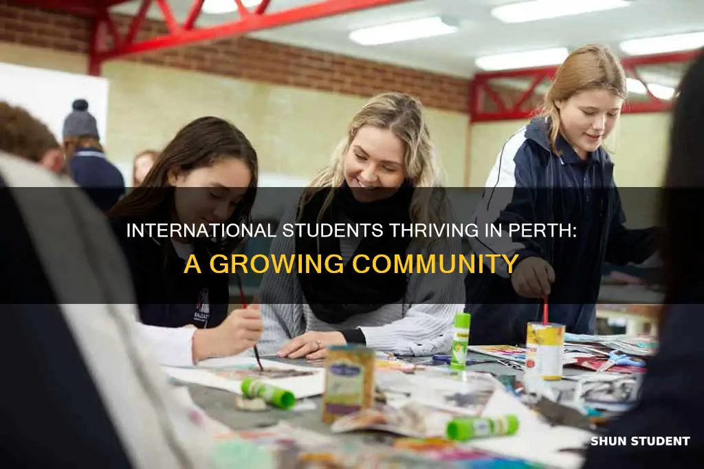 how many international students in perth
