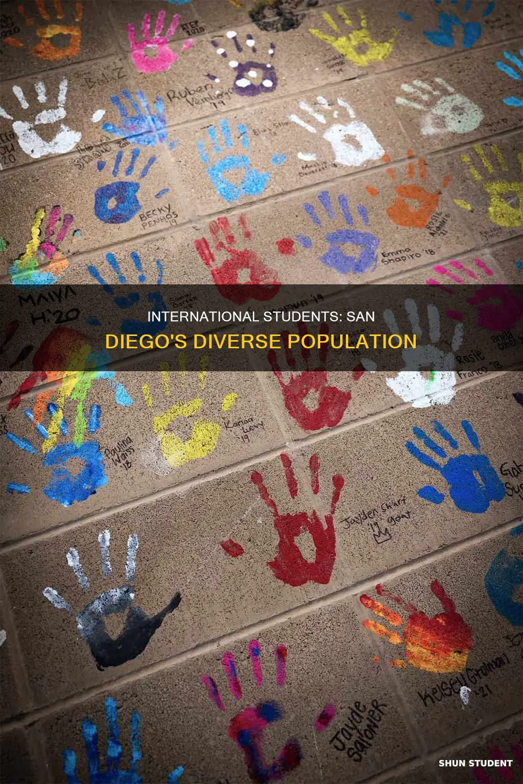how many international students in san diego
