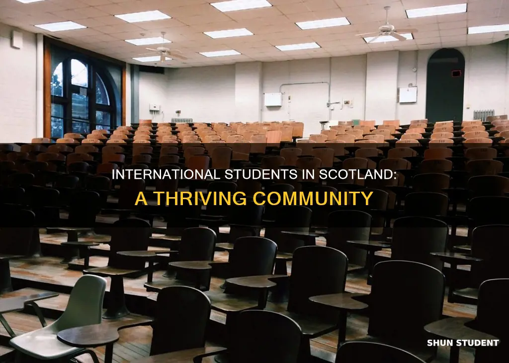how many international students in scotland
