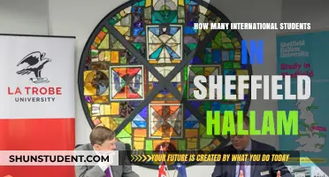 Sheffield Hallam: A Hub for International Students