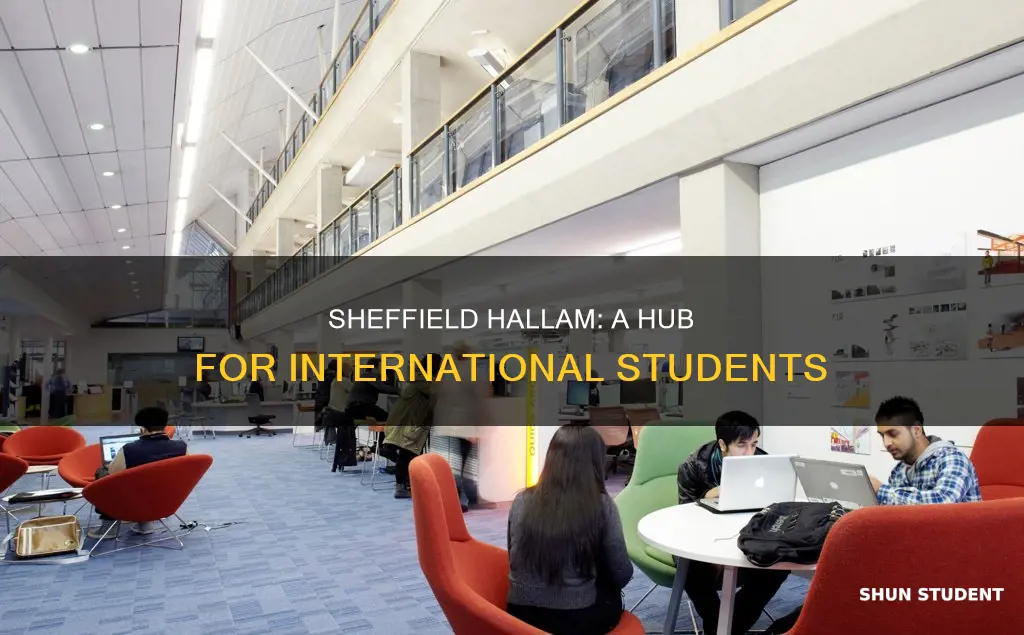 how many international students in sheffield hallam