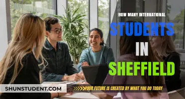 Sheffield's International Student Population: A Comprehensive Overview