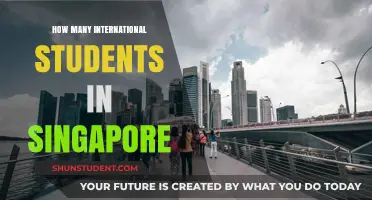 International Students in Singapore: A Thriving Population
