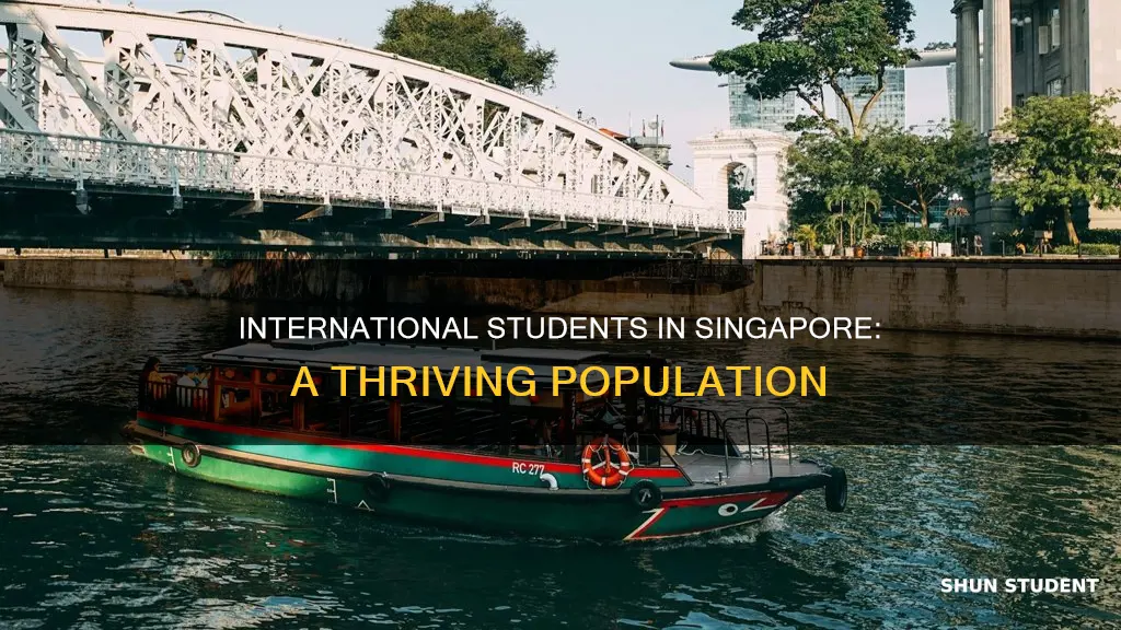 how many international students in singapore