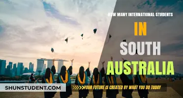 International Students: South Australia's Growing Appeal