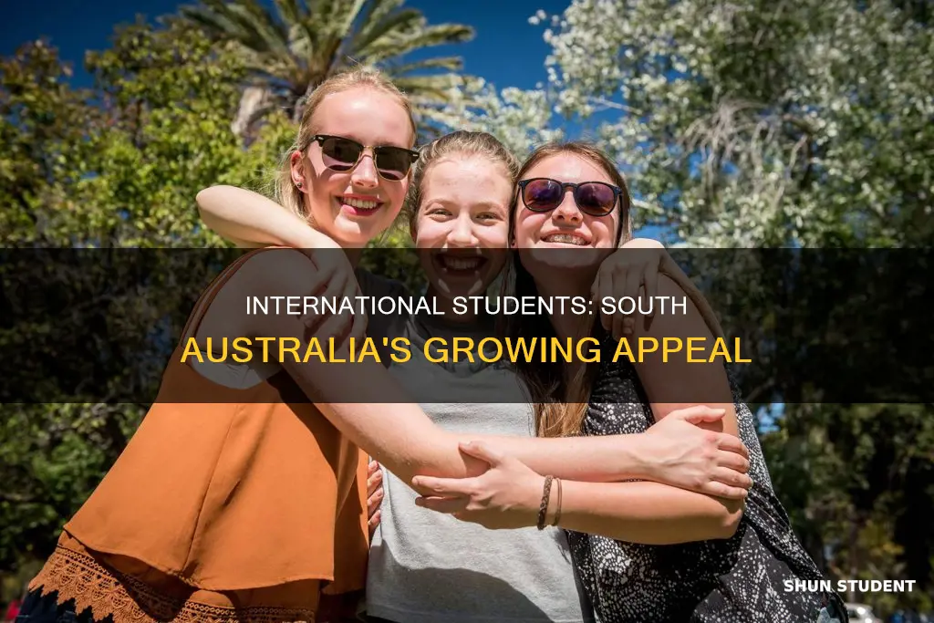 how many international students in south australia