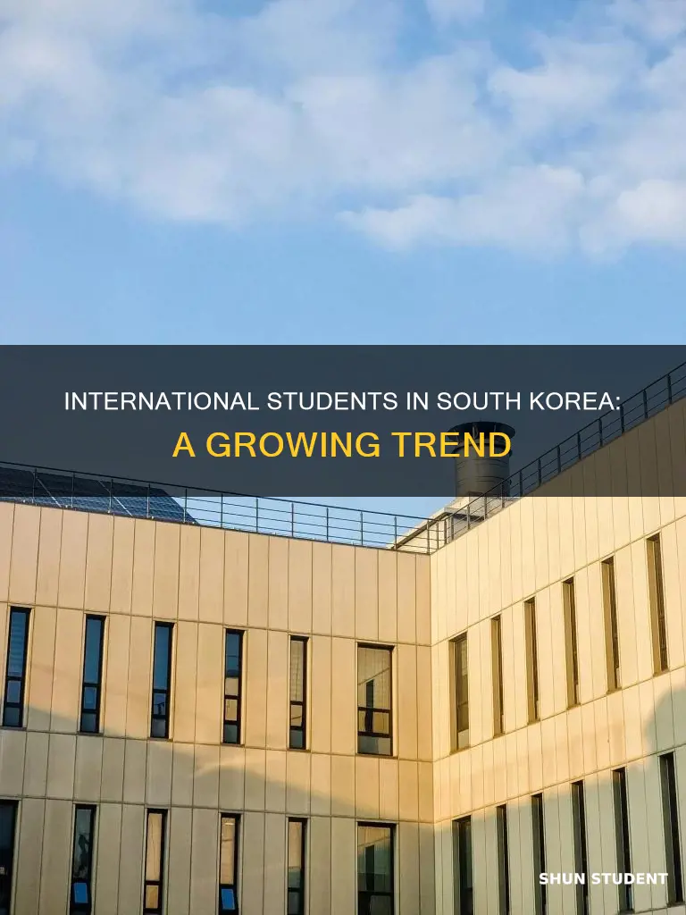 how many international students in south korea