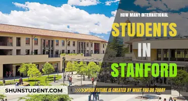 International Students at Stanford: A Diverse Community