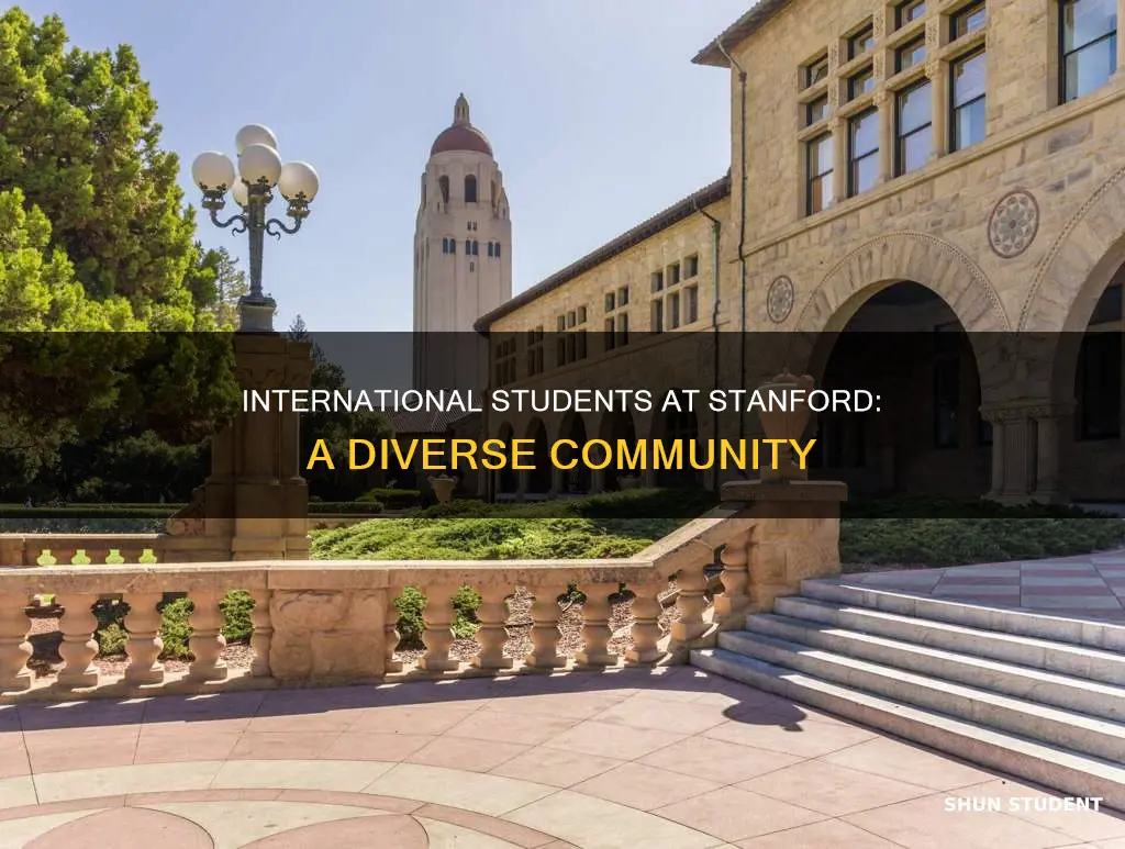 how many international students in stanford