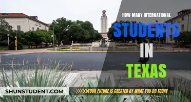 International Students in Texas: A Growing Population