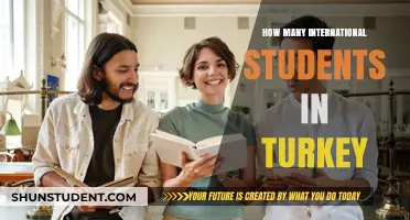 International Students in Turkey: A Growing Trend