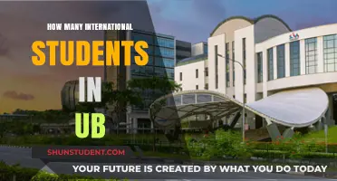 International Students Thriving at the University of Baltimore