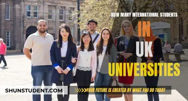 International Students in the UK: A Comprehensive Overview