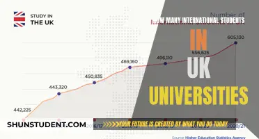 International Students in the UK: A Thriving Population