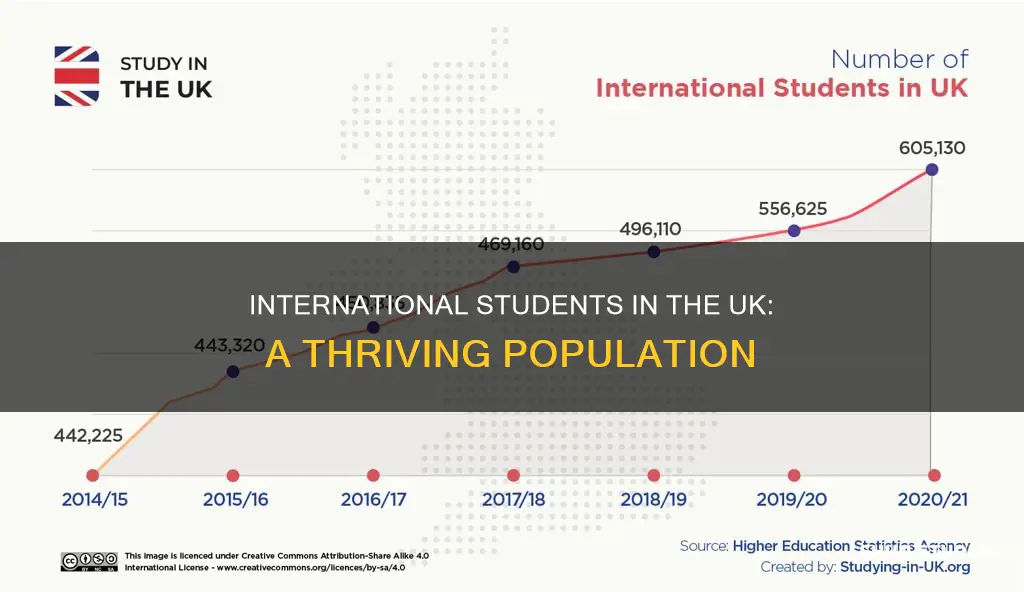 how many international students in uk universities