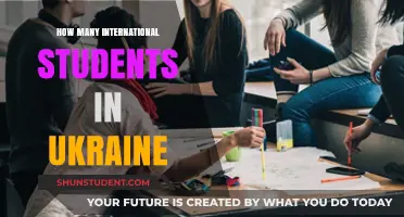 Ukraine's International Student Population: How Many?
