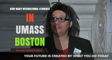International Students Thriving at UMass Boston