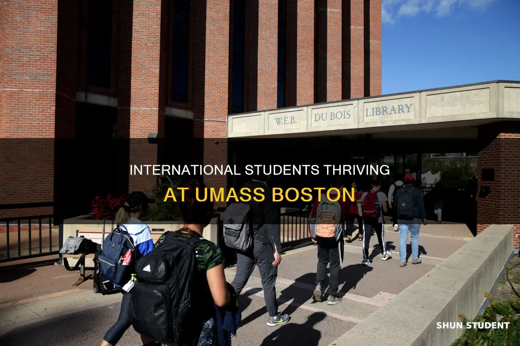 how many international students in umass boston
