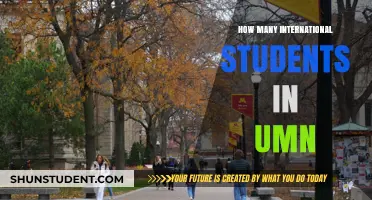 International Students Thriving at the University of Minnesota