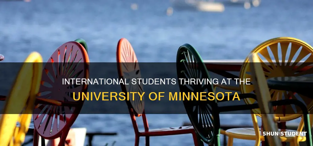 how many international students in umn