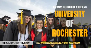 International Students Thriving at the University of Rochester