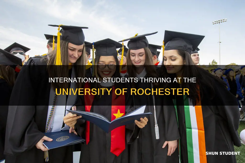 how many international students in university of rochester