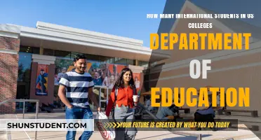 International Students in US Colleges: Department of Education Data