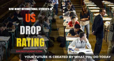 International Students in the US: Dropout Rates Explored