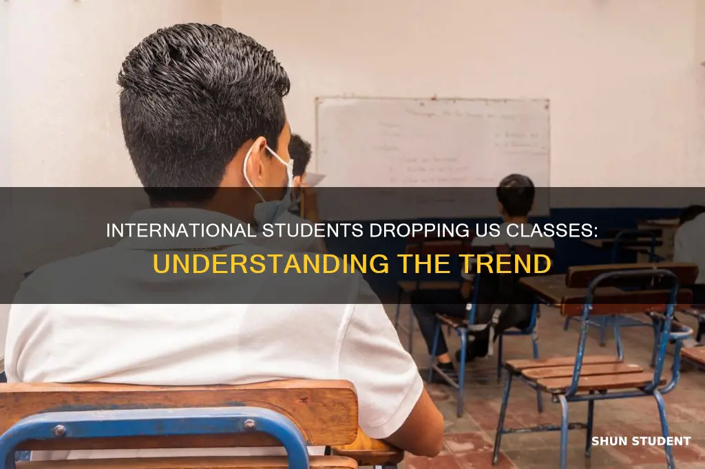how many international students in us drop their class