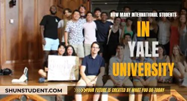 International Students Thriving at Yale University