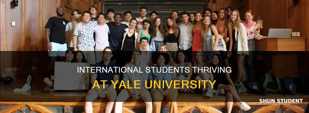 how many international students in yale university