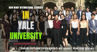Yale University: International Students' Hub