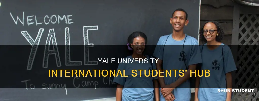 how many international students in yale university