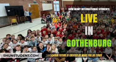 Gothenburg's International Student Population: How Many?
