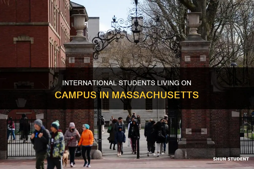 how many international students live on campus in massachusetts