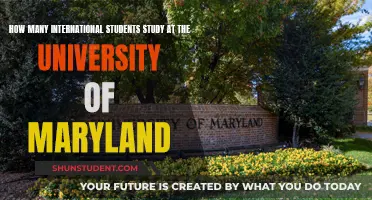 International Students Thriving at the University of Maryland