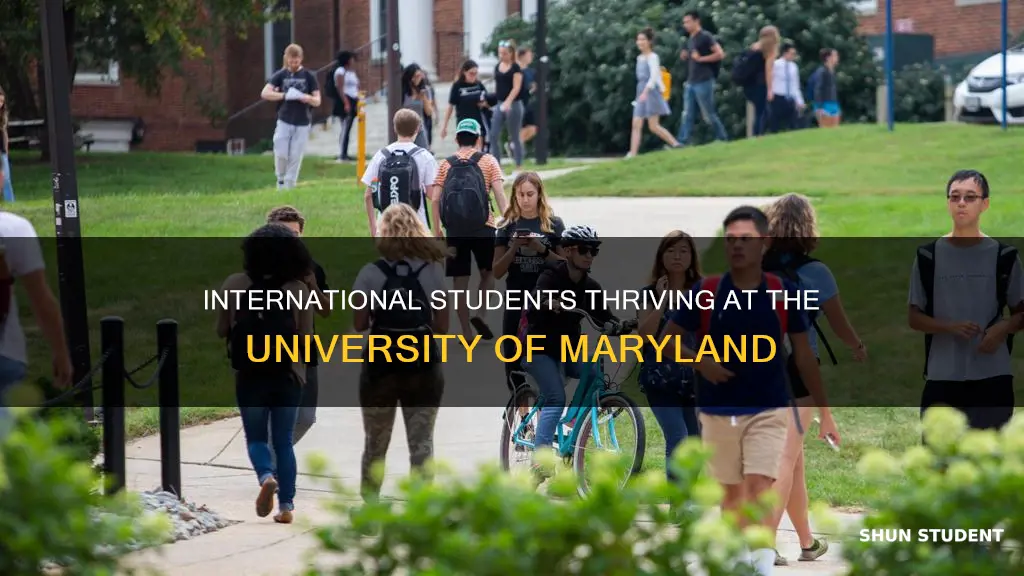 how many international students study at the university of maryland