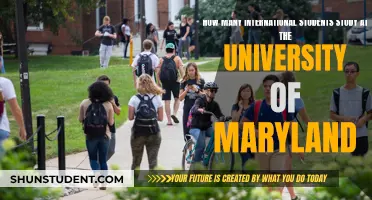 International Students Thriving at the University of Maryland