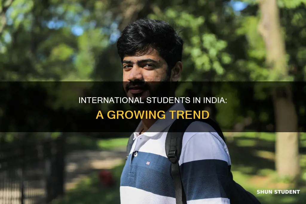 how many international students study in india