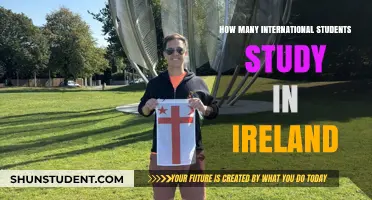 International Students in Ireland: A Growing Trend