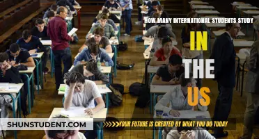 International Students in the US: A Growing Trend