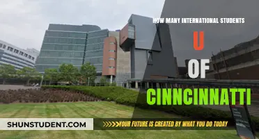 International Students Thriving at the University of Cincinnati