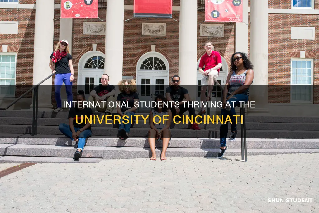 how many international students u of cinncinnatti