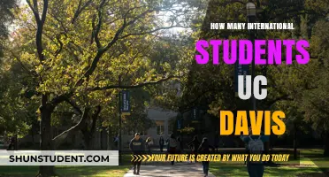 International Students at UC Davis: A Thriving Community