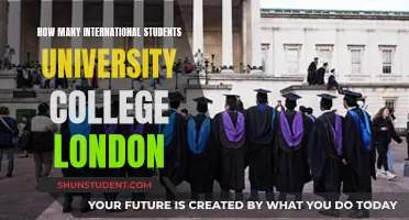 University College London: International Student Hub