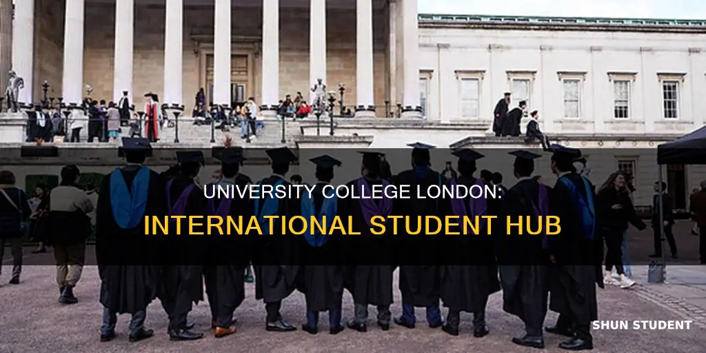 how many international students university college london