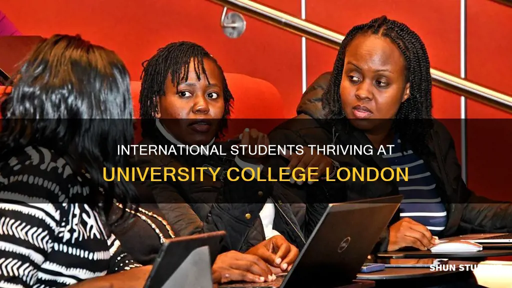 how many international students university college london