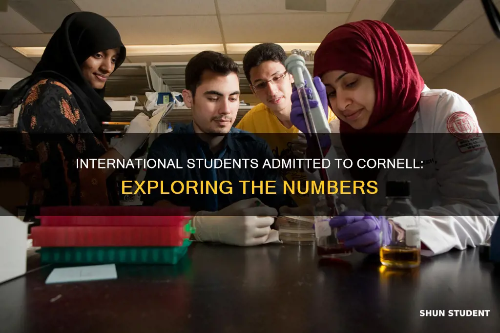 how many international students were admitted to cornell university